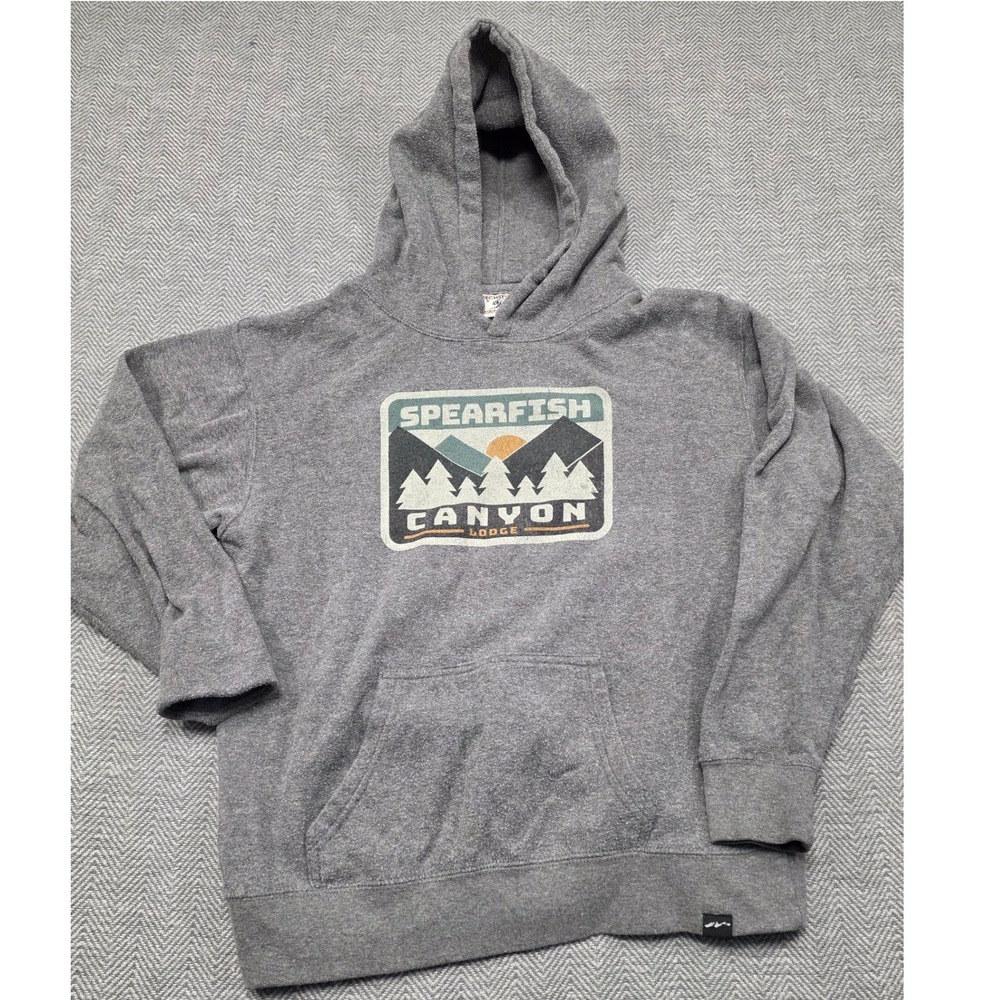 Techstyles Spearfish Canyon Lodge Grey‎ Graphic Hoodie Sweatshirt Large LG